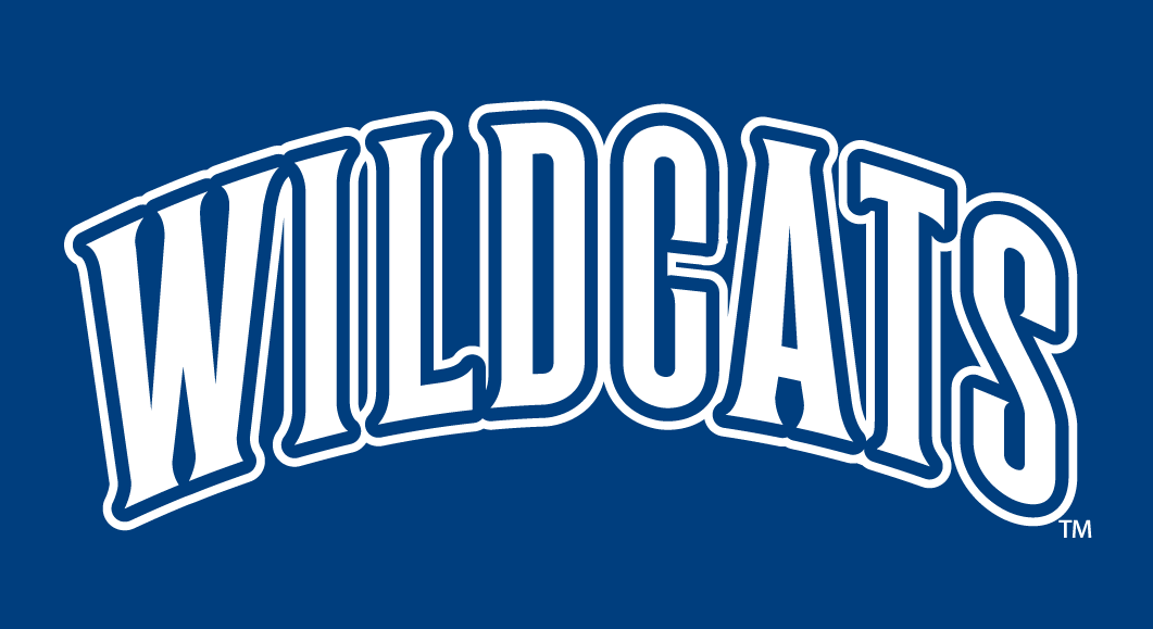 Villanova Wildcats 1996-Pres Wordmark Logo v2 iron on transfers for clothing